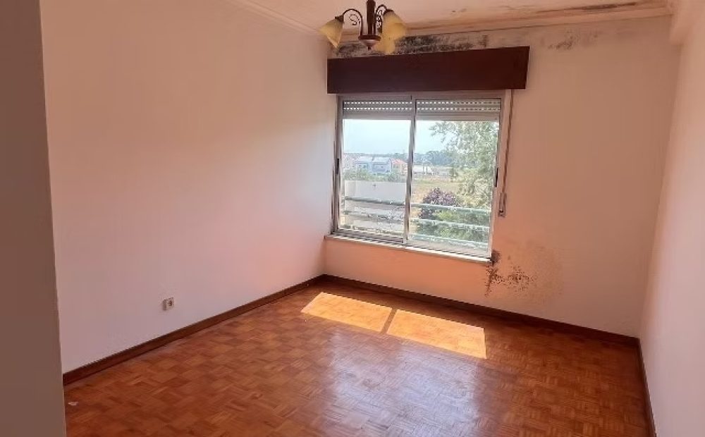 quarto-2